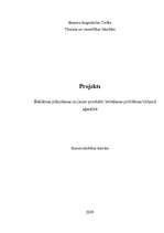Eseja 'Reklāmas plānošanas un jaunu produktu ieviešanas problēmas tūrisma aģentūrā', 1.