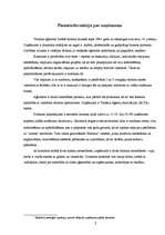 Eseja 'Reklāmas plānošanas un jaunu produktu ieviešanas problēmas tūrisma aģentūrā', 2.