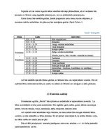 Referāts 'Nozares un produkta analīze', 8.