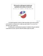 Referāts 'Nozares un produkta analīze', 14.