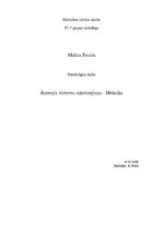 Referāts 'Ārzemju virtuve. Meksikas virtuves raksturojums', 1.