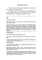 Referāts 'Ārzemju virtuve. Meksikas virtuves raksturojums', 4.