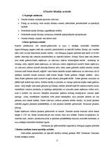 Referāts 'Grāmatvedības uzskaite pašvaldībā', 17.