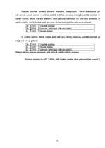 Referāts 'Grāmatvedības uzskaite pašvaldībā', 23.