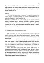 Referāts 'Vidzemes Augstskolas studentu iepirkšanās paradumi ekonomiskās krīzes laikā', 8.