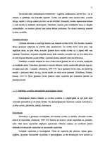 Referāts 'Vidzemes Augstskolas studentu iepirkšanās paradumi ekonomiskās krīzes laikā', 11.