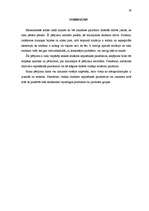 Referāts 'Vidzemes Augstskolas studentu iepirkšanās paradumi ekonomiskās krīzes laikā', 28.