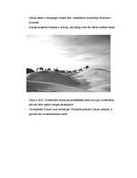 Referāts 'Lībija', 2.