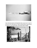 Referāts 'Lībija', 3.