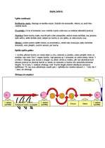 Konspekts 'Stafete futbolā', 1.