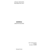 Paraugs 'Elpošana', 1.