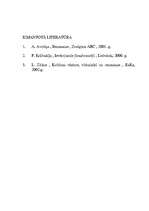 Eseja 'Es rakstu par vienu renesanses ģēniju', 4.