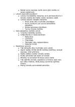 Konspekts '1905.gada revolūcija', 2.