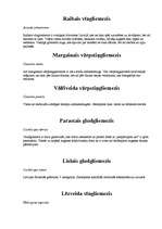 Referāts 'Gliemeži', 5.