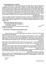 Eseja 'Žila Verna romāna "Ceļojums uz Zemes centru" analīze', 2.