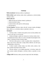 Referāts 'Skaitīšanas sistēmas', 2.