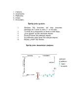 Konspekts 'Šķēršļu josla 12.klases sporta ieskaitei', 2.