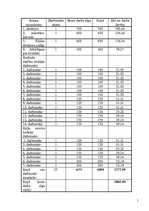 Biznesa plāns 'Biznesa plāns', 5.