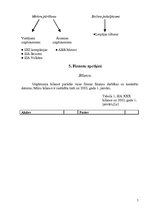 Biznesa plāns 'Biznesa plāns', 7.