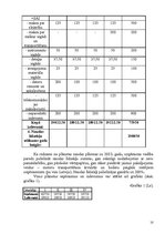 Biznesa plāns 'Biznesa plāns', 10.