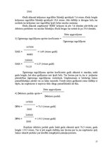 Biznesa plāns 'Biznesa plāns', 17.