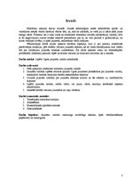 Referāts 'Jauniešu leksika mūsdienās', 3.