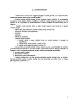 Referāts 'Jauniešu leksika mūsdienās', 5.