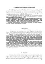 Referāts 'Jauniešu leksika mūsdienās', 6.