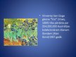 Prezentācija 'Vinsents van Gogs', 17.