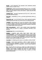 Konspekts 'Attīstības psiholoģijas svarīgāko terminu skaidrojums', 2.