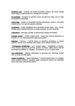 Konspekts 'Attīstības psiholoģijas svarīgāko terminu skaidrojums', 6.