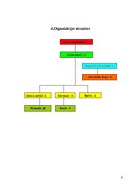 Prakses atskaite 'Personāla vadība SIA "X"', 6.