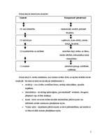 Konspekts 'Socializācija', 2.