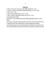 Referāts 'Transformējamās mēbeles', 11.