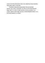 Referāts 'Atkritumi - sabiedrības pirkstu nospiedumi', 9.