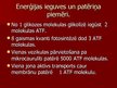 Prezentācija 'Šūnu enerģētiskā vielmaiņa', 4.