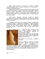 Referāts 'Paneļu sienas', 8.