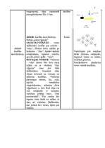 Konspekts 'Vieglatlētika 2.klasei', 2.
