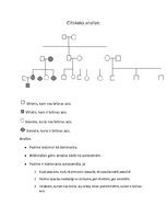 Paraugs 'Ciltskoka analīze', 1.