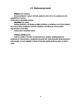 Biznesa plāns 'Biznesa plāns', 9.