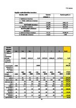 Biznesa plāns 'Biznesa plāns', 18.