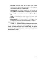 Diplomdarbs 'Alternatīvas brīvības atņemšanai nepilngadīgiem likumpārkāpējiem un profilaktisk', 43.