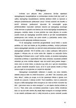 Diplomdarbs 'Alternatīvas brīvības atņemšanai nepilngadīgiem likumpārkāpējiem un profilaktisk', 46.