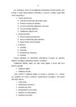 Referāts 'Stratēģiskā plānošana', 6.