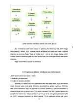 Referāts 'Attiecību mārketinga izpēte un analīze uzņēmumā "XXX"', 14.