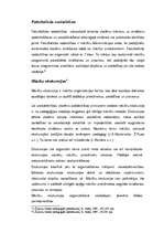 Konspekts 'Mācību organizācijas formas', 4.