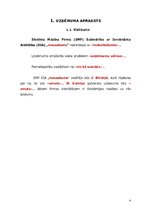 Paraugs 'Biznesa plāna veidošanas paraugs', 4.