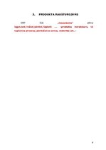 Paraugs 'Biznesa plāna veidošanas paraugs', 6.