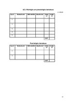 Paraugs 'Biznesa plāna veidošanas paraugs', 17.