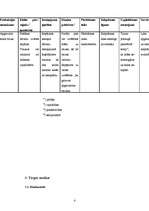 Biznesa plāns 'IK "Vāzīte"', 4.